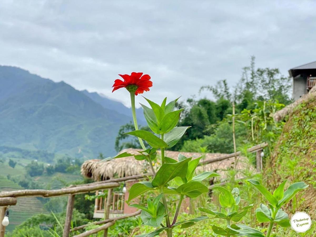Chapa Farmstay - Mountain Retreat 萨帕 外观 照片