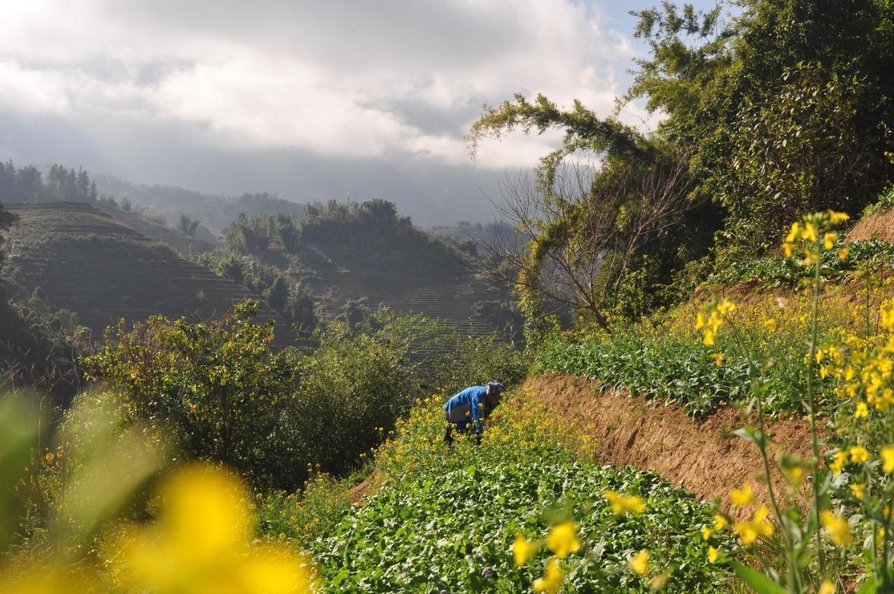 Chapa Farmstay - Mountain Retreat 萨帕 外观 照片