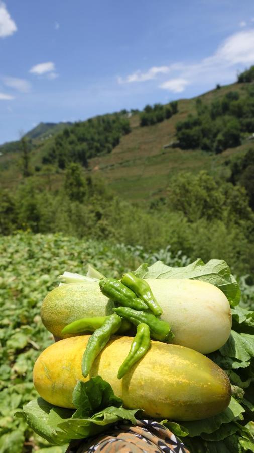 Chapa Farmstay - Mountain Retreat 萨帕 外观 照片